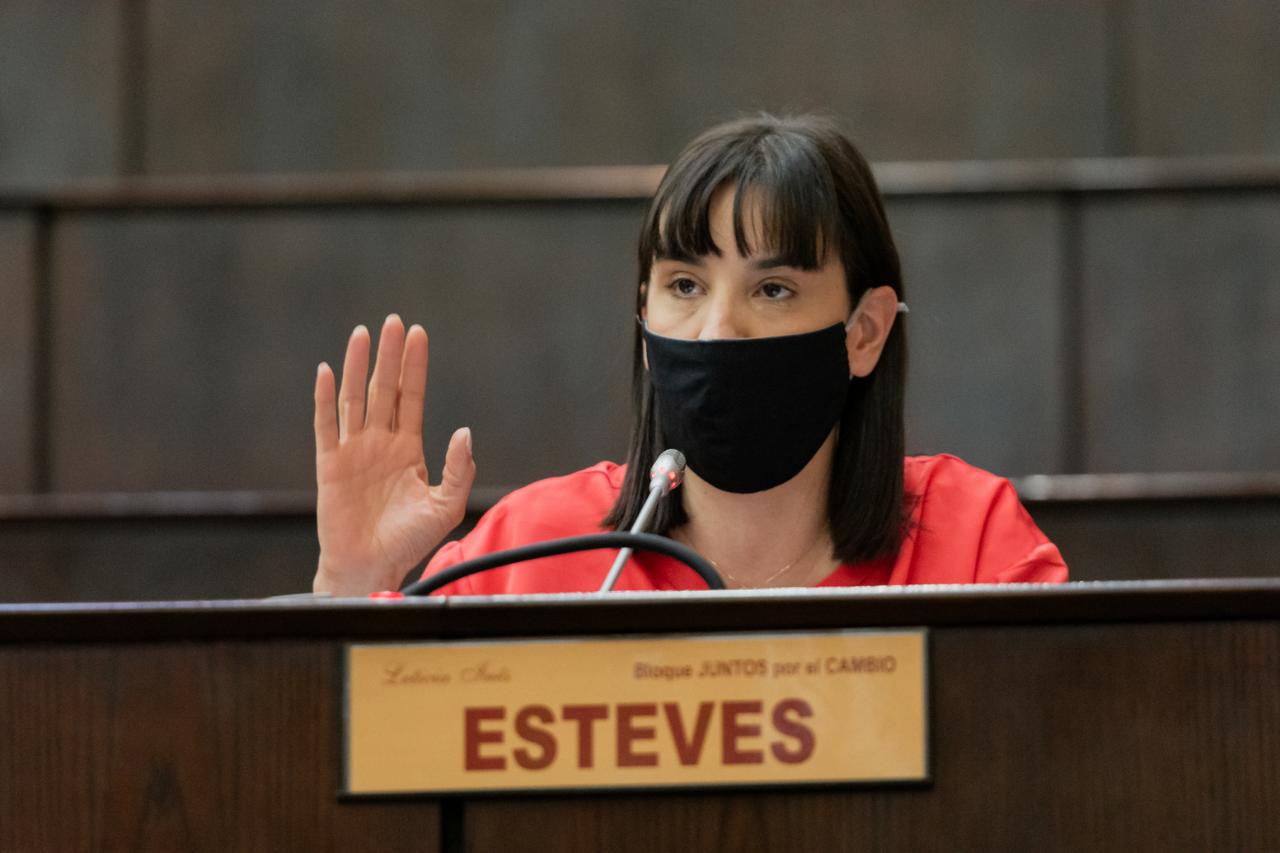Diputada Leticia Esteves - Se presentó el proyecto ficha limpia en Neuquén