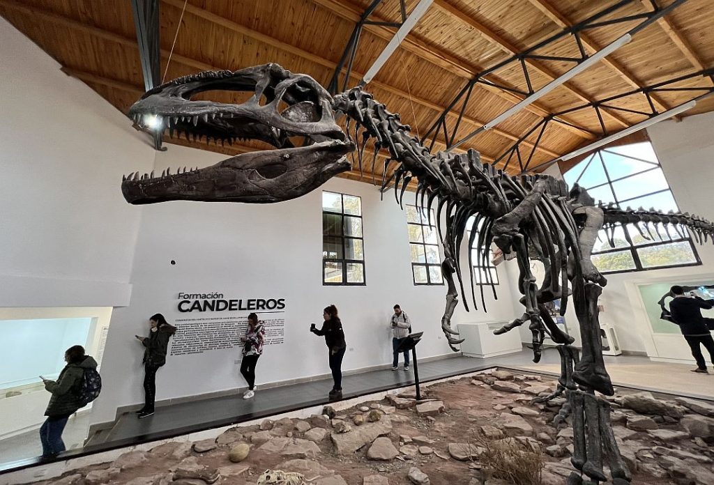 El Chocón Tras los Pasos de los Dinosaurios