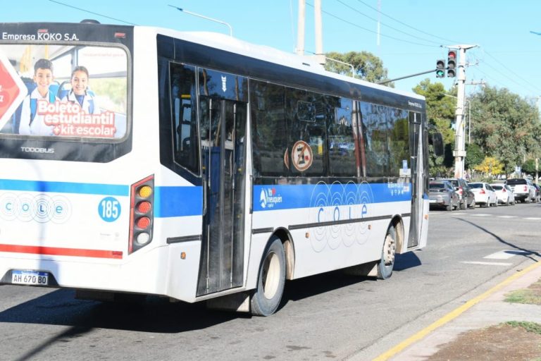 Transporte en neuquén: el sistema COLE suma frecuencias clave y ajusta recorridos