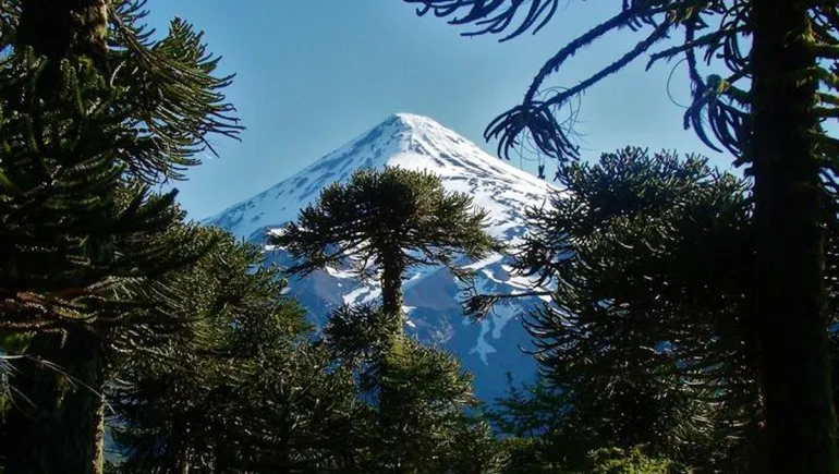 Parque Nacional Lanín Naturaleza en su Máxima Expresión