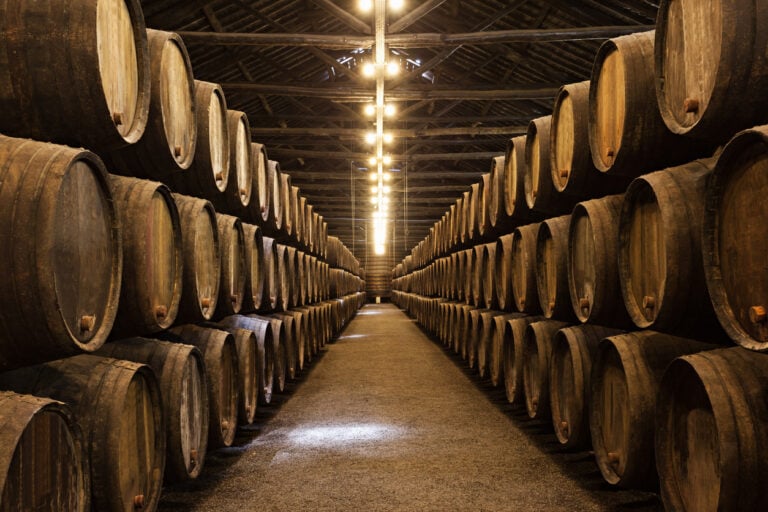 Vino patagónico de San Patricio del Chañar al mundo: 1.766 hectáreas, cinco bodegas exportadoras y la apuesta al segmento premium