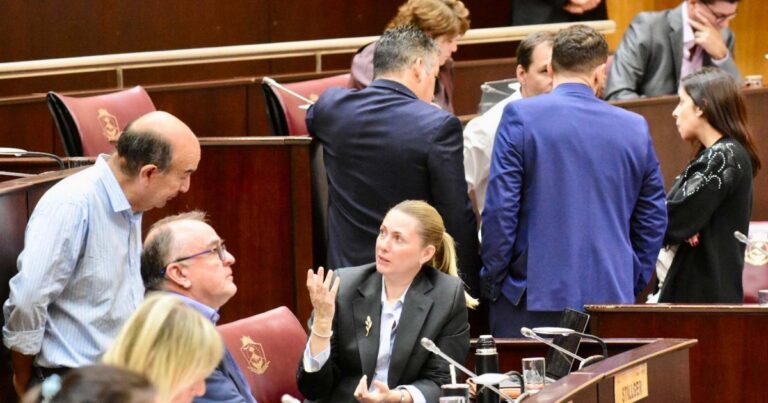 La Legislatura avanza con las cámaras en las escuelas neuquinas: aval del CPE y arranque progresivo