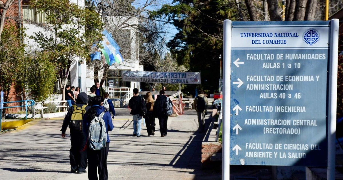 Christian Lopes es el nuevo rector de la UNCo con el 52% de los votos - imagen