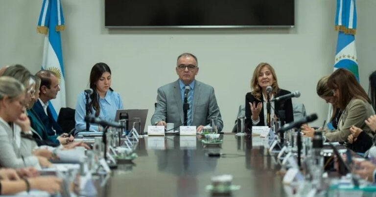Avanza el debate por un nuevo Código Procesal de Familia en Neuquén