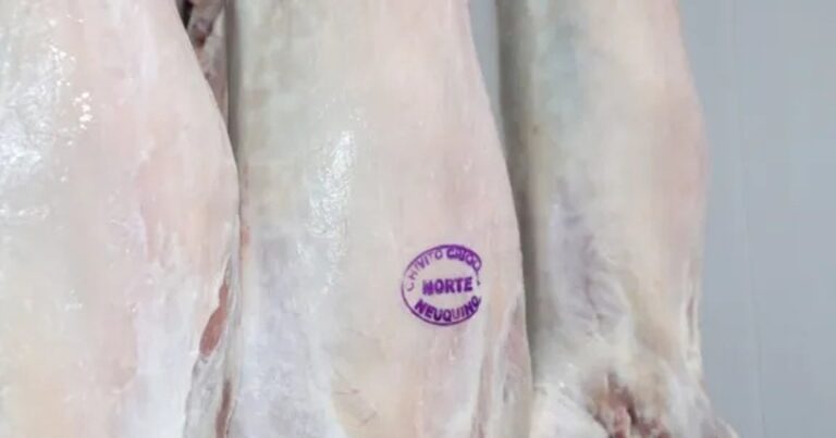 Vuelve la Feria del Chivito y del Cordero del Alto Neuquén al Mercado Concentrador
