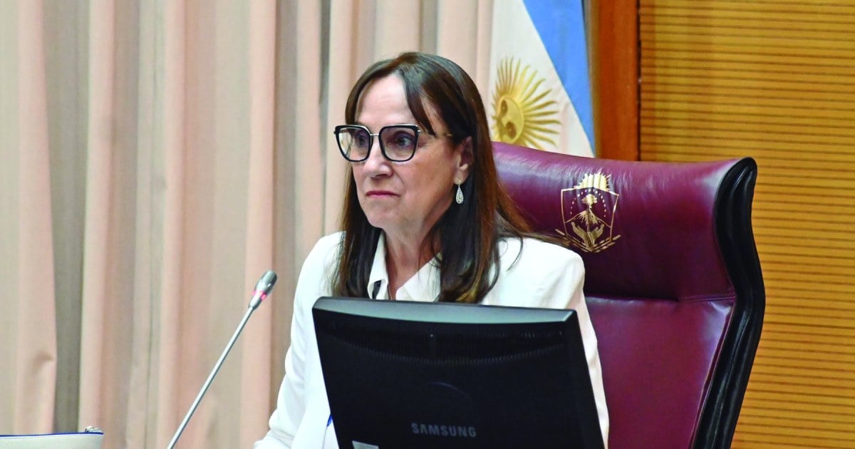 «No nos han hecho un narcotest»: diputados neuquinos exigen a Reina aplicar la ley de controles toxicológicos