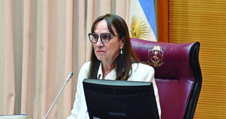 «No nos han hecho un narcotest»: diputados neuquinos exigen a Reina aplicar la ley de controles toxicológicos