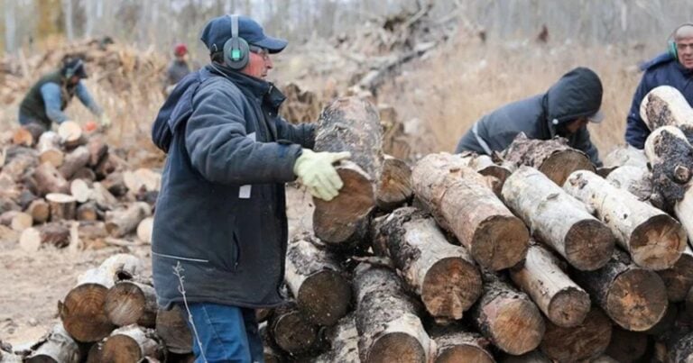 Plan Calor 2026: Neuquén reparte 60.000 m³ de leña y garrafas a familias sin red de gas