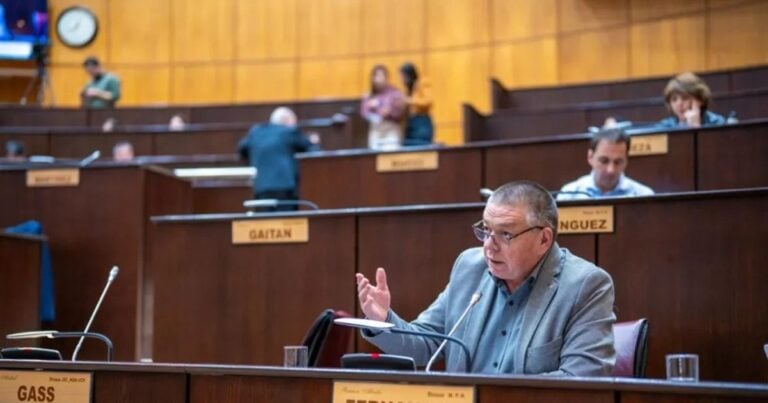 ‘El GNL es una oportunidad que Neuquén no puede dejar pasar’, dijo Ramón Fernández