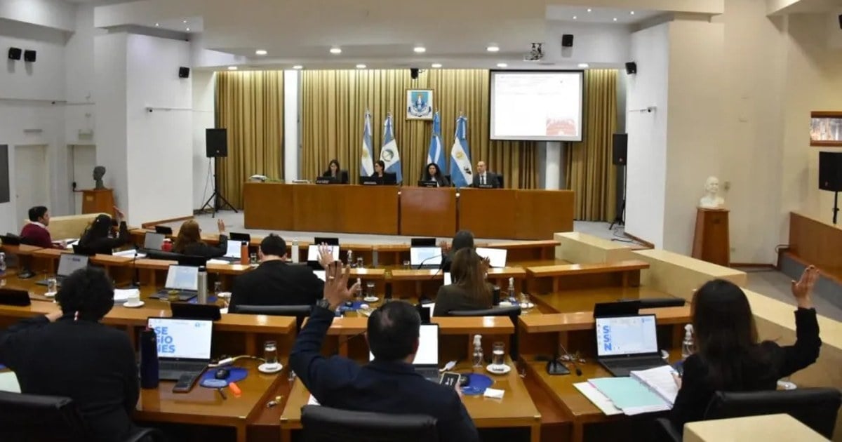 Juezas del Tribunal Municipal de Faltas durante el debate del Código de Convivencia en el Concejo de Neuquén