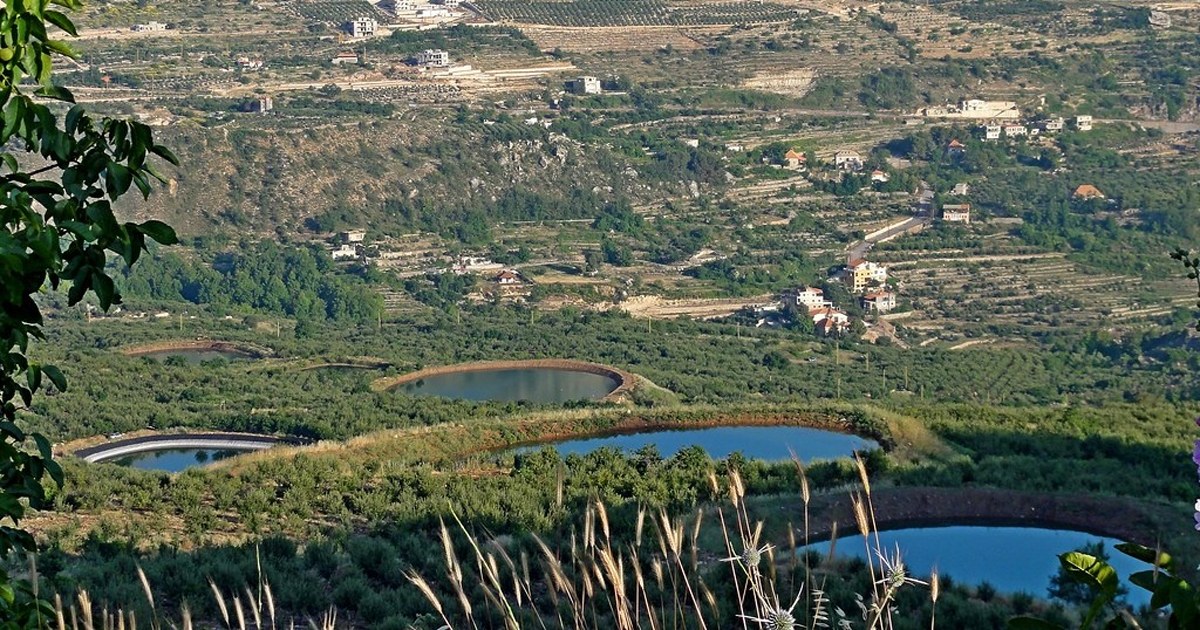 Chacra con frutales y canal de riego en el Alto Valle de Neuquén