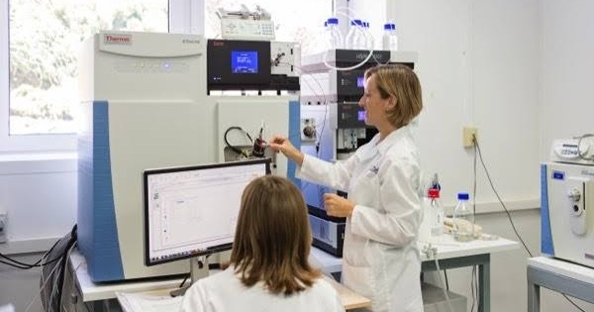 Estudiantes trabajan en un laboratorio universitario durante una práctica de investigación