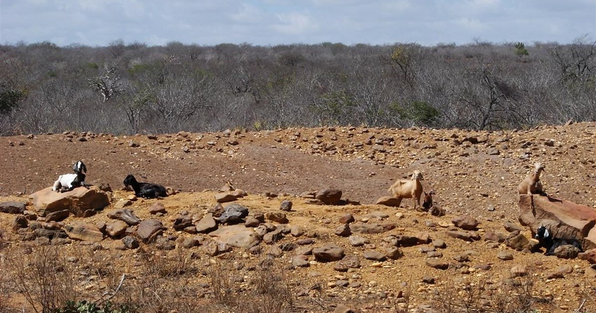 Acopio de arena y grava en una cantera de la cuenca neuquina, insumo para obras en Vaca Muerta