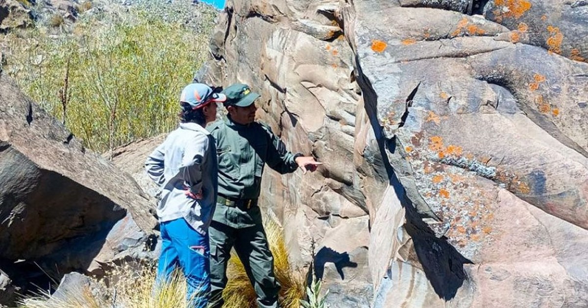 Investigadores relevan rastros superficiales sobre el terreno en la Cuenca del Agrio