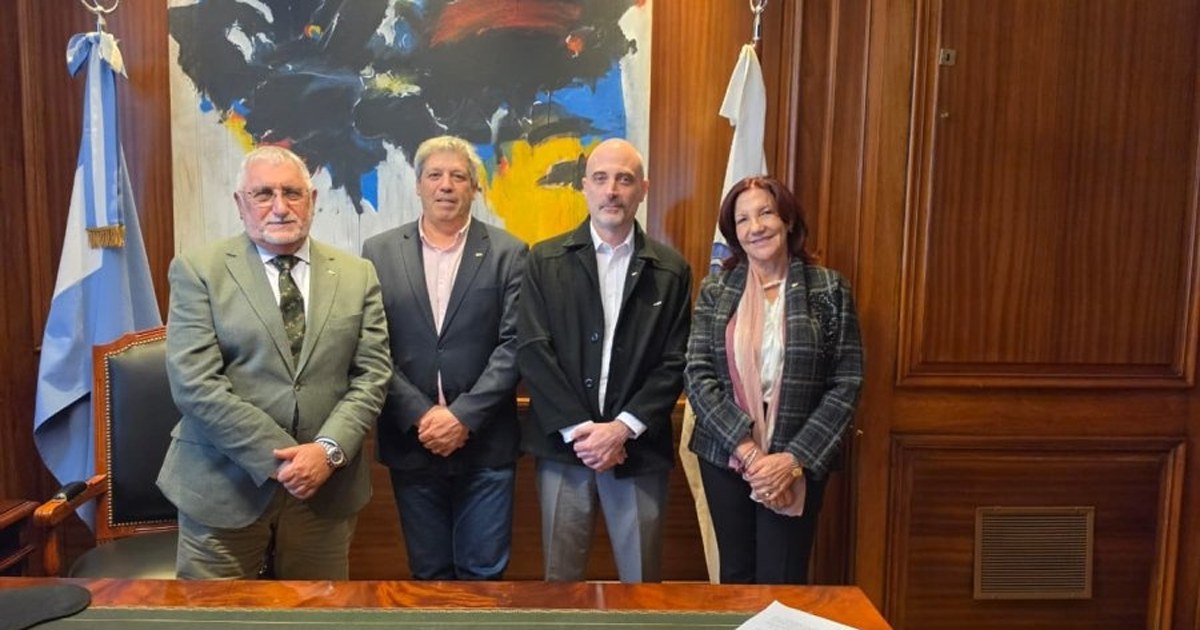 Locales comerciales a cielo abierto en el centro de Neuquén, formato que el acuerdo busca modernizar