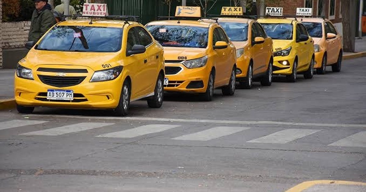 Concejales de Neuquén durante la sesión que prorrogó la antigüedad de taxis y remises