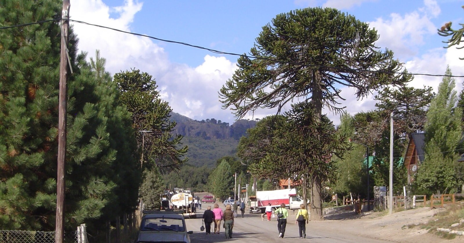 Puesto con quesos, embutidos y productos elaborados con piñón de productores de Villa Pehuenia