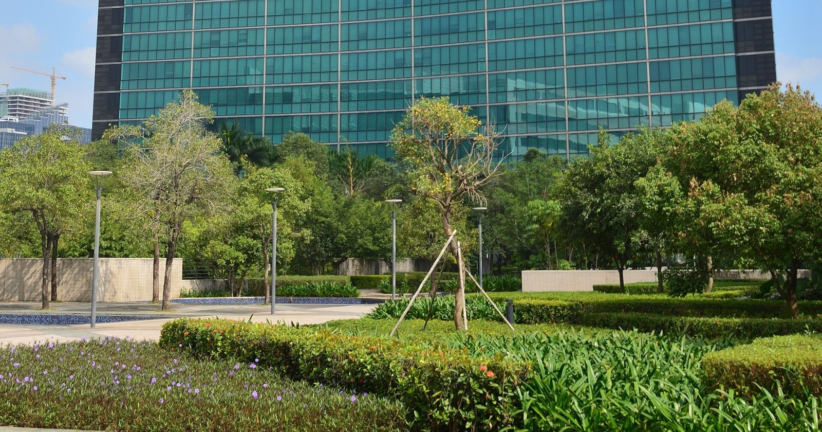 Integrantes de la cooperativa CALF recorren instalaciones tecnológicas de Huawei en Shenzhen, China