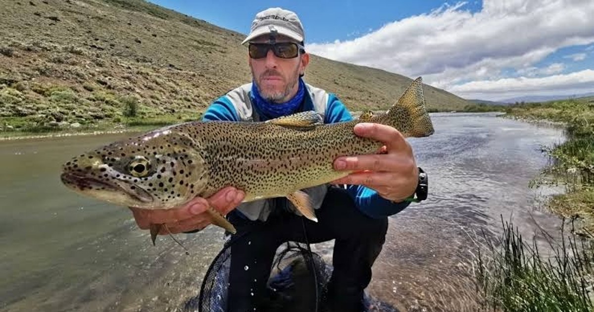 Agente de Fauna revisa el código QR del permiso de pesca en el celular de un pescador a orillas de un río