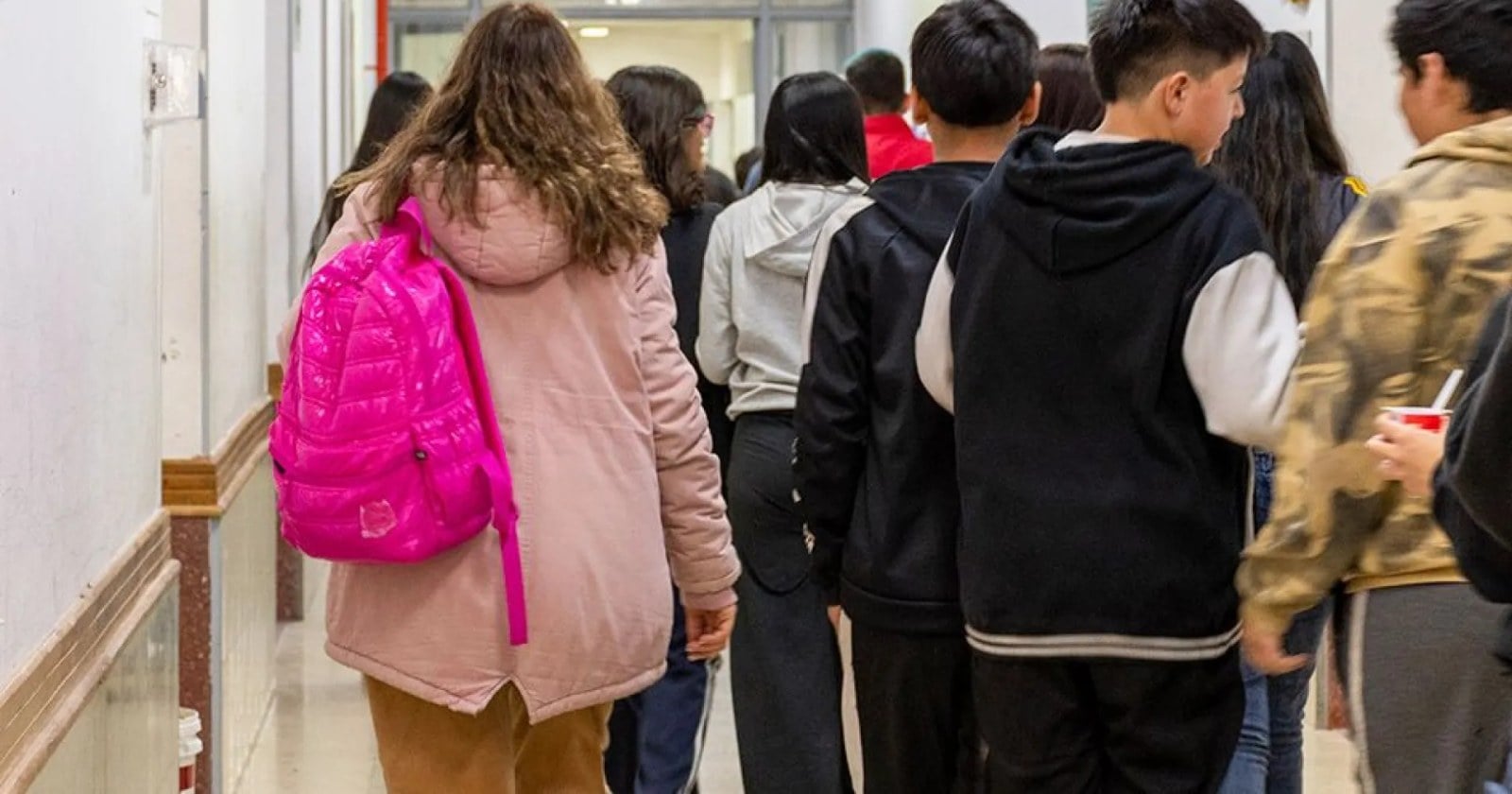 Persona carga datos en el sitio de inscripciones escolares del CPE desde una computadora