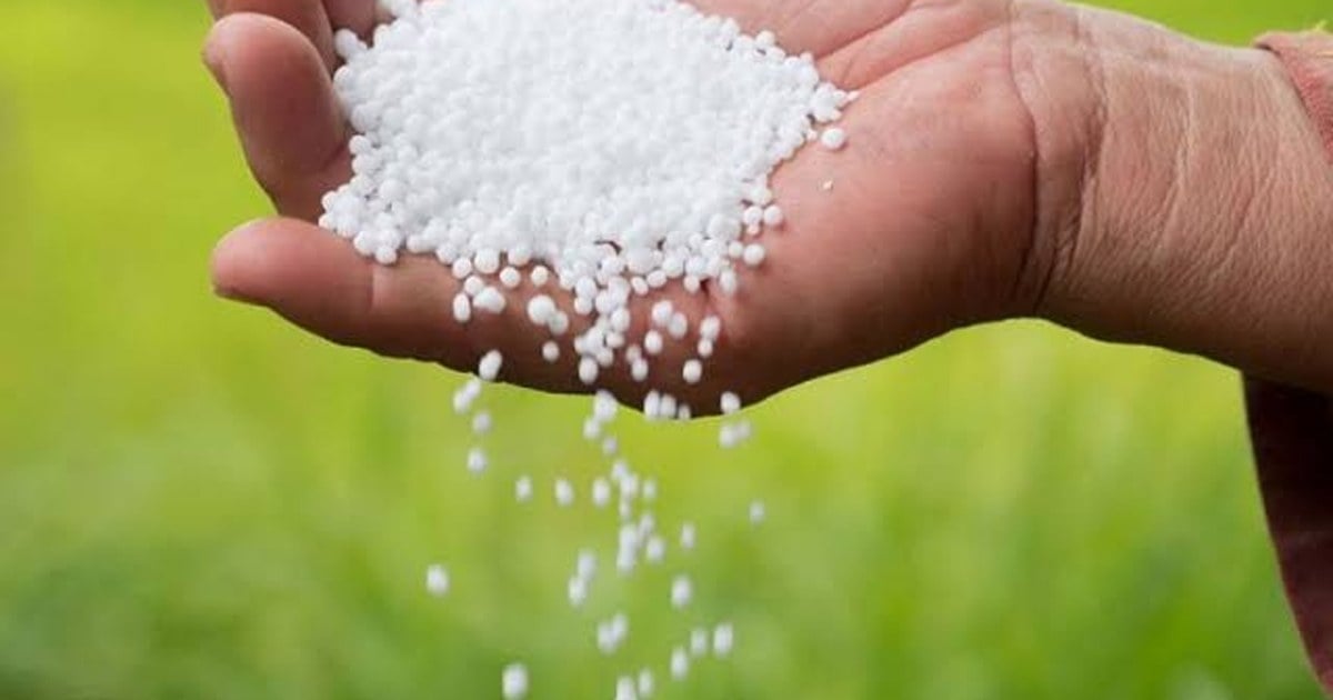 Máquina aplicando fertilizante nitrogenado sobre un cultivo en la región pampeana
