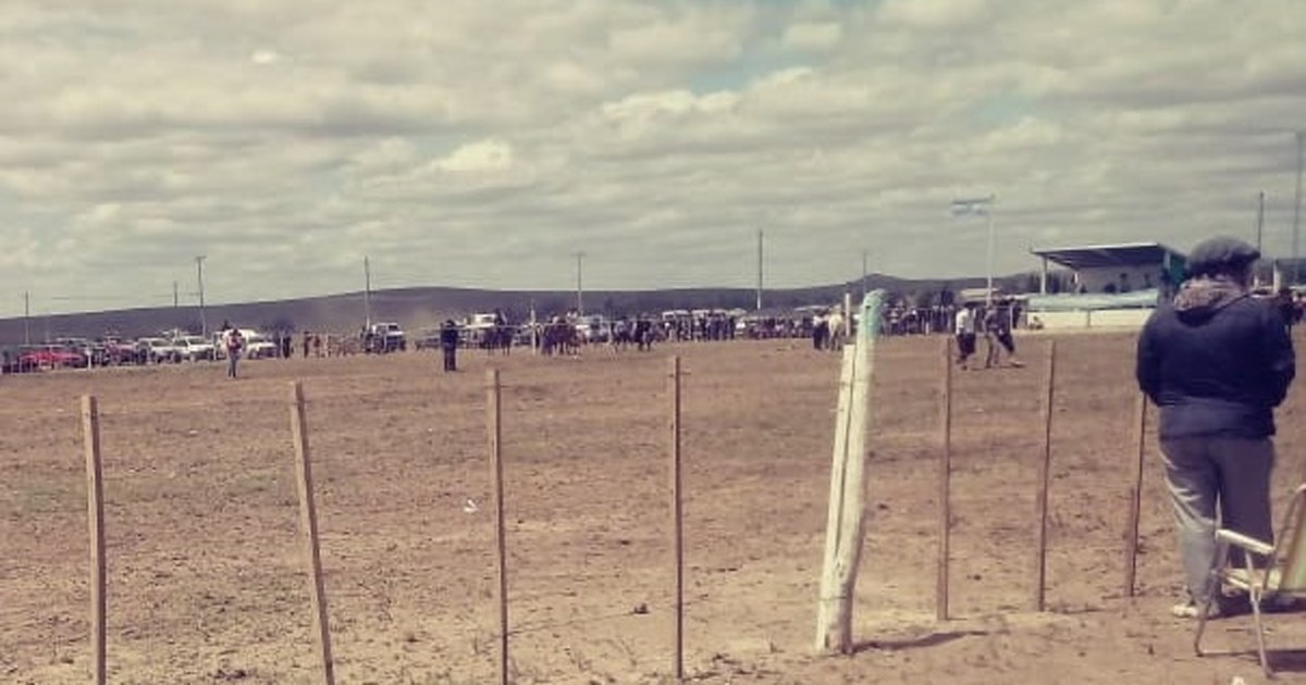 Fardos de lana ovina apilados en un camión en una barraca de Los Menucos, Río Negro