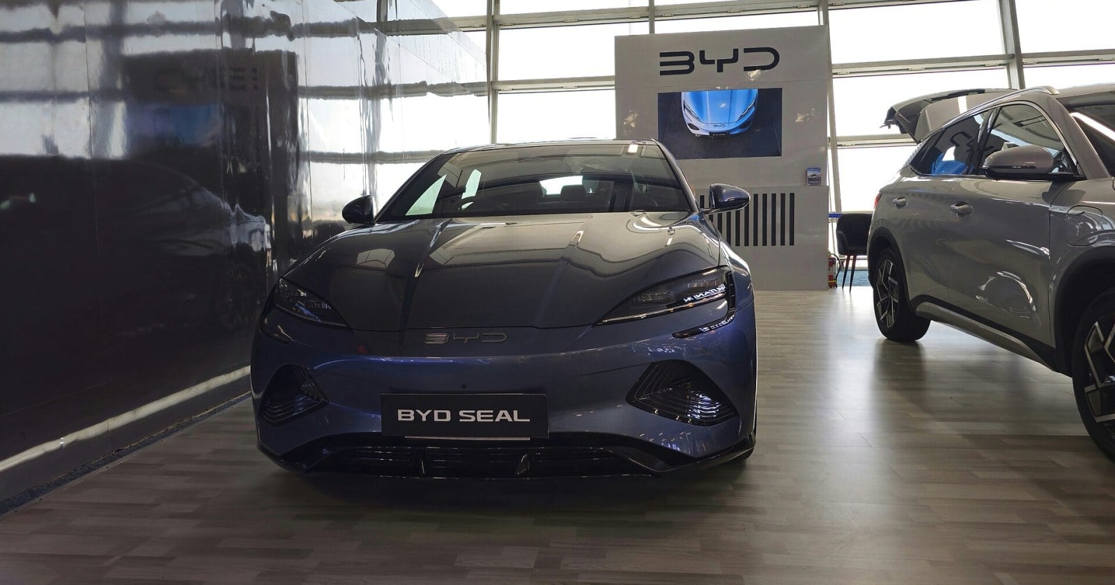 Un BYD Seal azul exhibido de frente en el salón del concesionario, junto a un SUV gris y el logo de BYD en la pared
