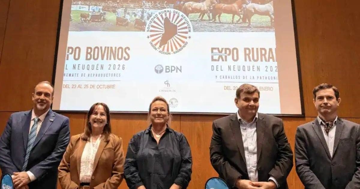 Toros reproductores en corrales del predio ganadero de Junín de los Andes antes del remate de la Expo Bovinos