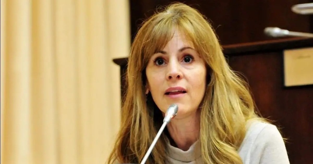 Recinto de la Legislatura de Neuquén durante una sesión sobre el proyecto de GNL
