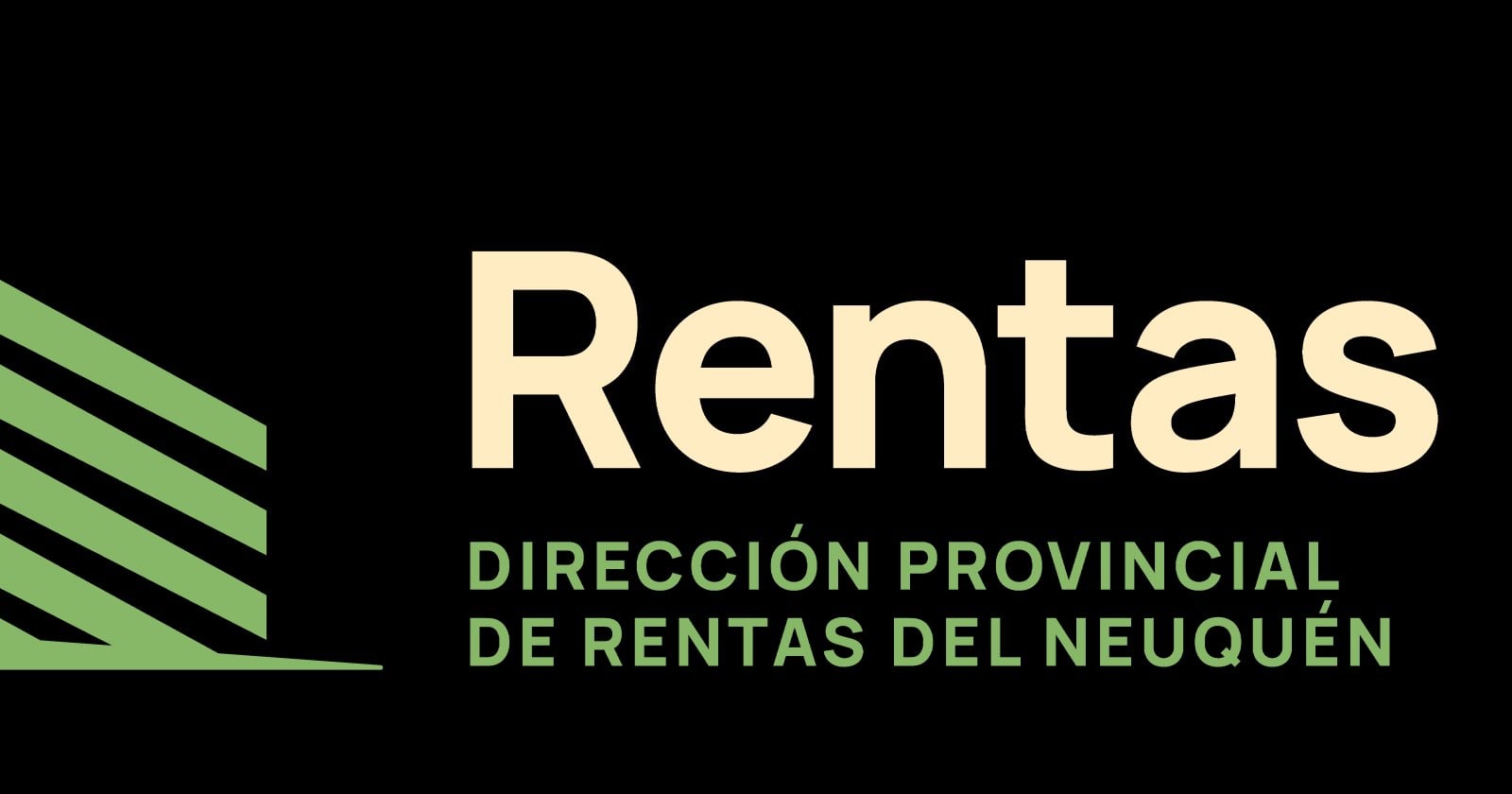 Contribuyente revisa en pantalla su deuda de impuestos y las opciones de plan de pago disponibles en la provincia